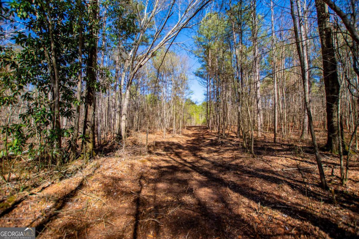 0 Highway 166 E - 21+ Acres E Bowdon GA 30108