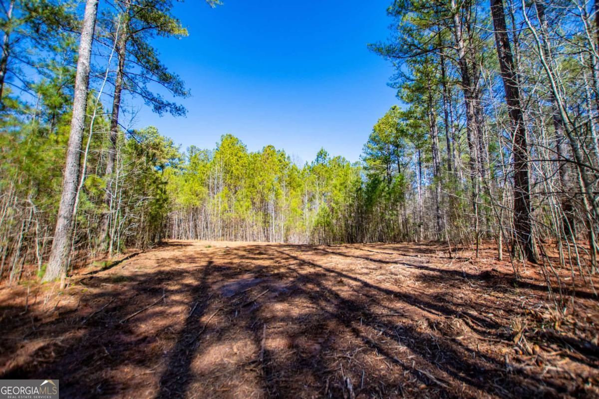0 Highway 166 E - 21+ Acres E Bowdon GA 30108
