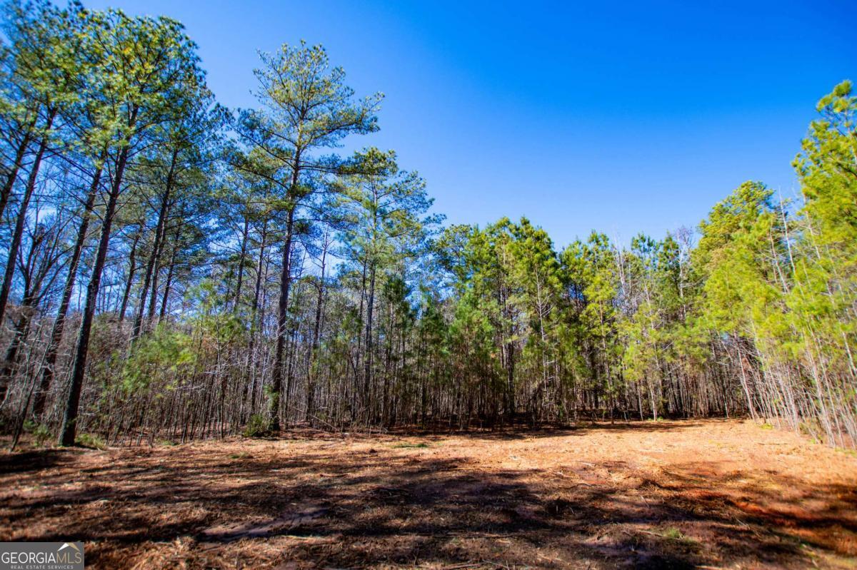 0 Highway 166 E - 21+ Acres E Bowdon GA 30108