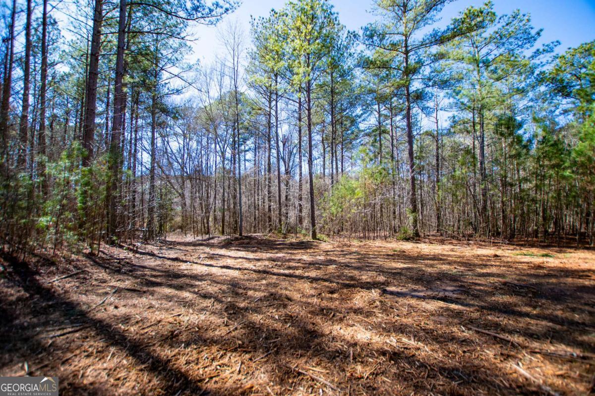 0 Highway 166 E - 21+ Acres E Bowdon GA 30108