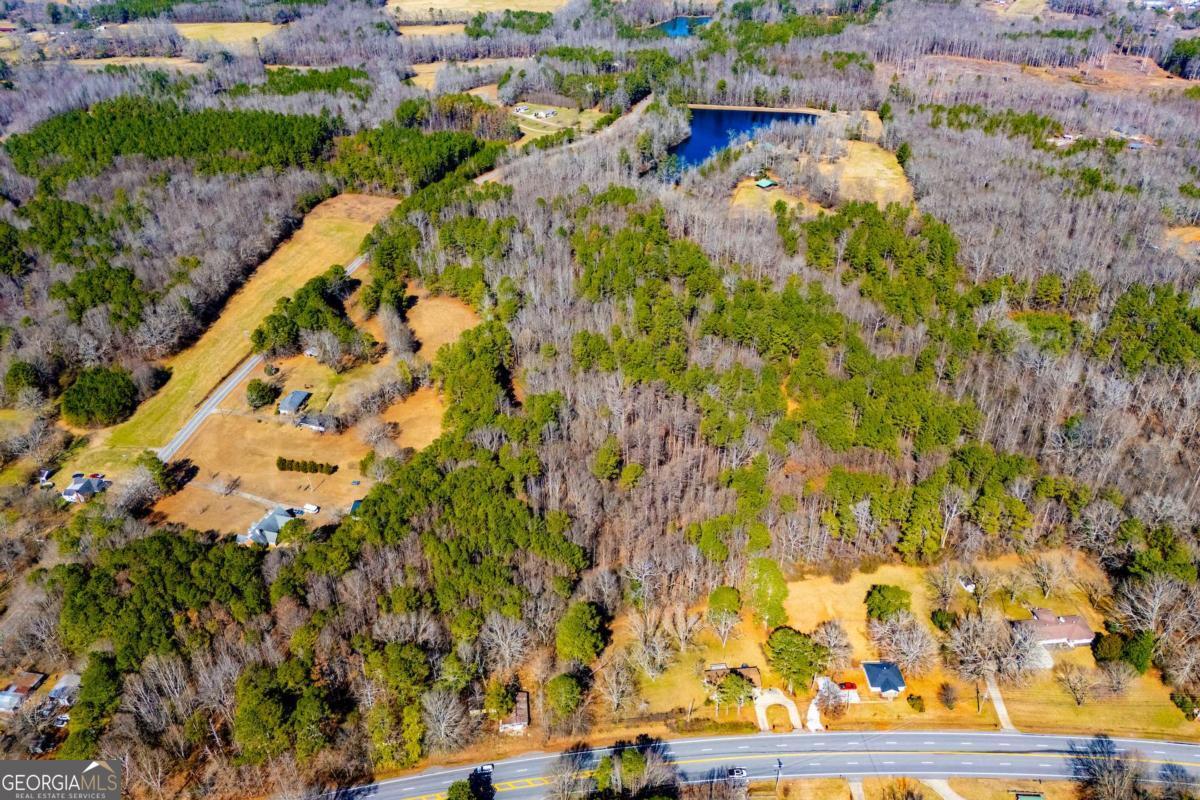 0 Highway 166 E - 21+ Acres E Bowdon GA 30108