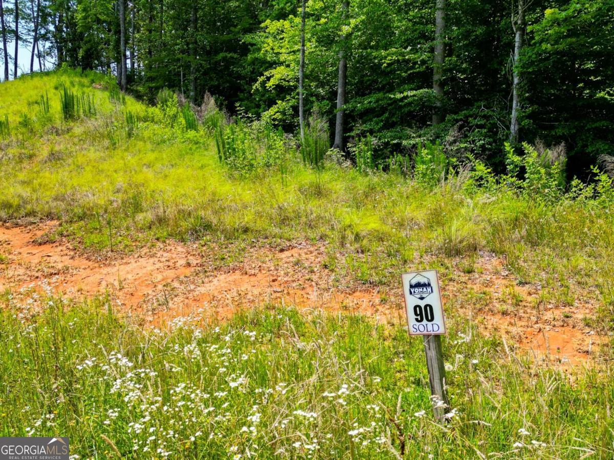0 Yonah Lake Drive Sautee Nacoochee GA 30571