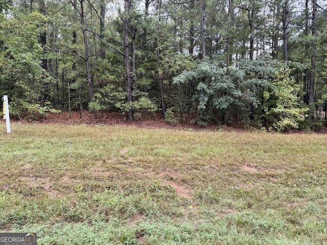 0 Chipley Highway Pine Mountain GA 31822