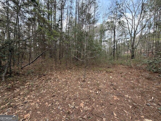 0 Chipley Highway Pine Mountain GA 31822