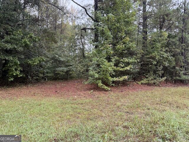 0 Chipley Highway Pine Mountain GA 31822