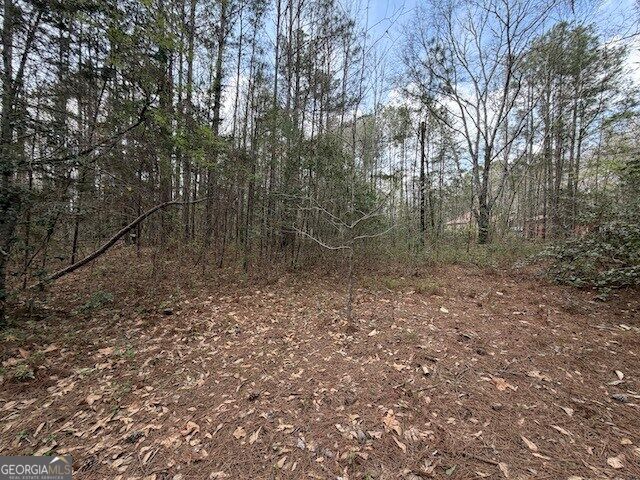 0 Chipley Highway Pine Mountain GA 31822