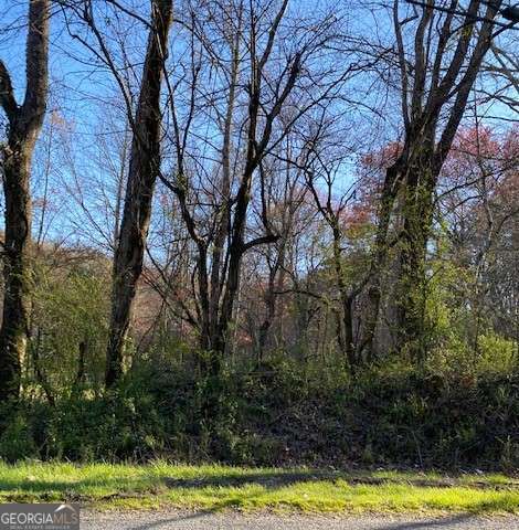 Lot 52,53&54 Yellowbird Trail Blue Ridge GA 30513