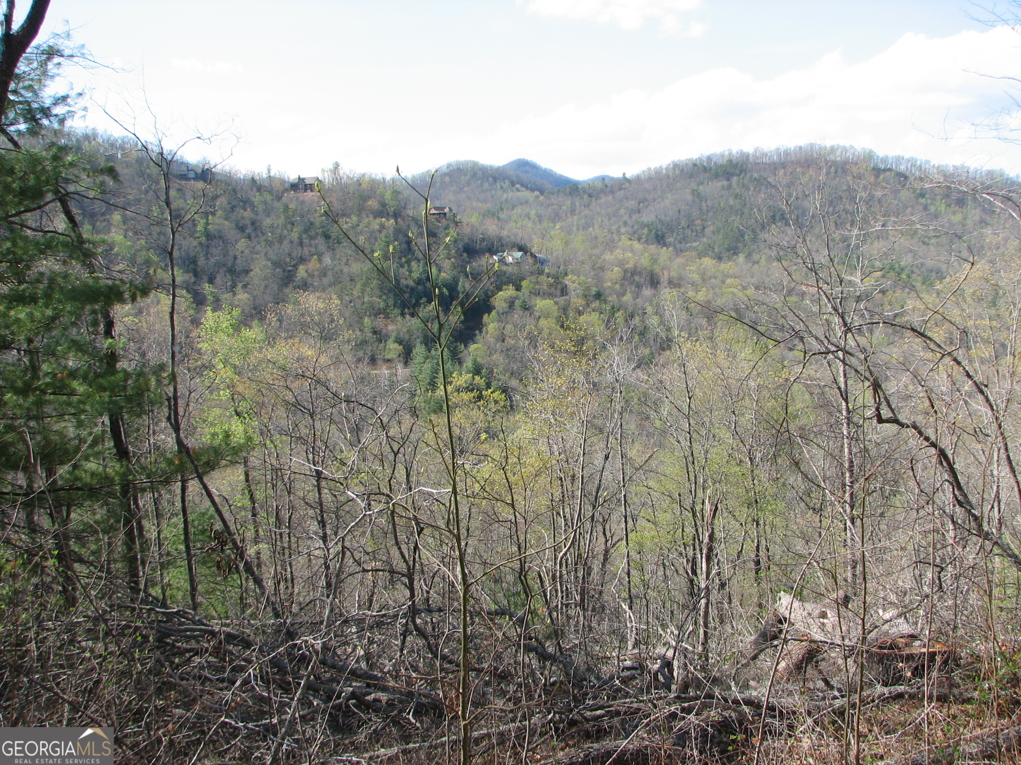 Lot 18 Wynngate Drive Dillard GA 30537