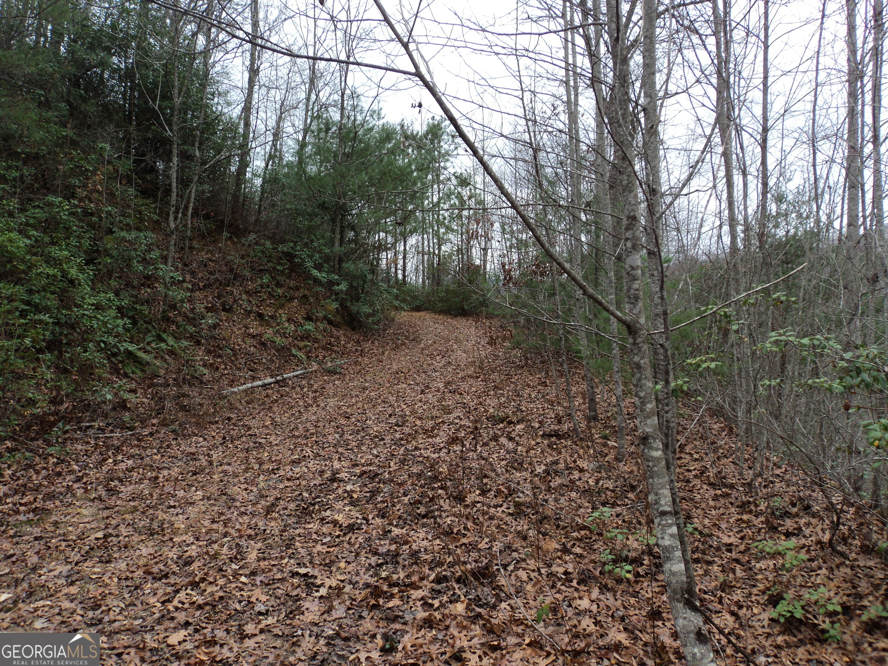 Lot 18 Wynngate Drive Dillard GA 30537