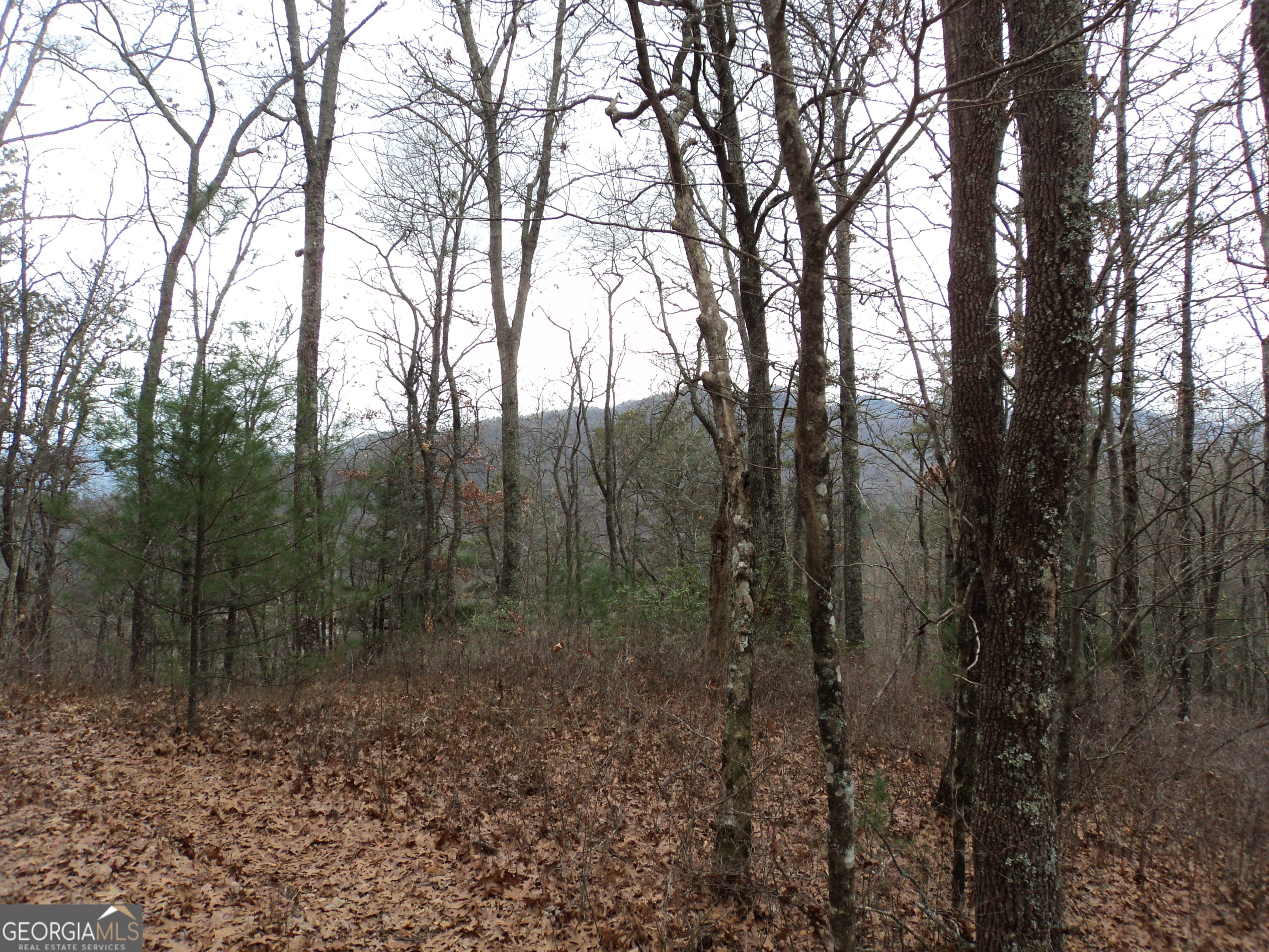 Lot 18 Wynngate Drive Dillard GA 30537