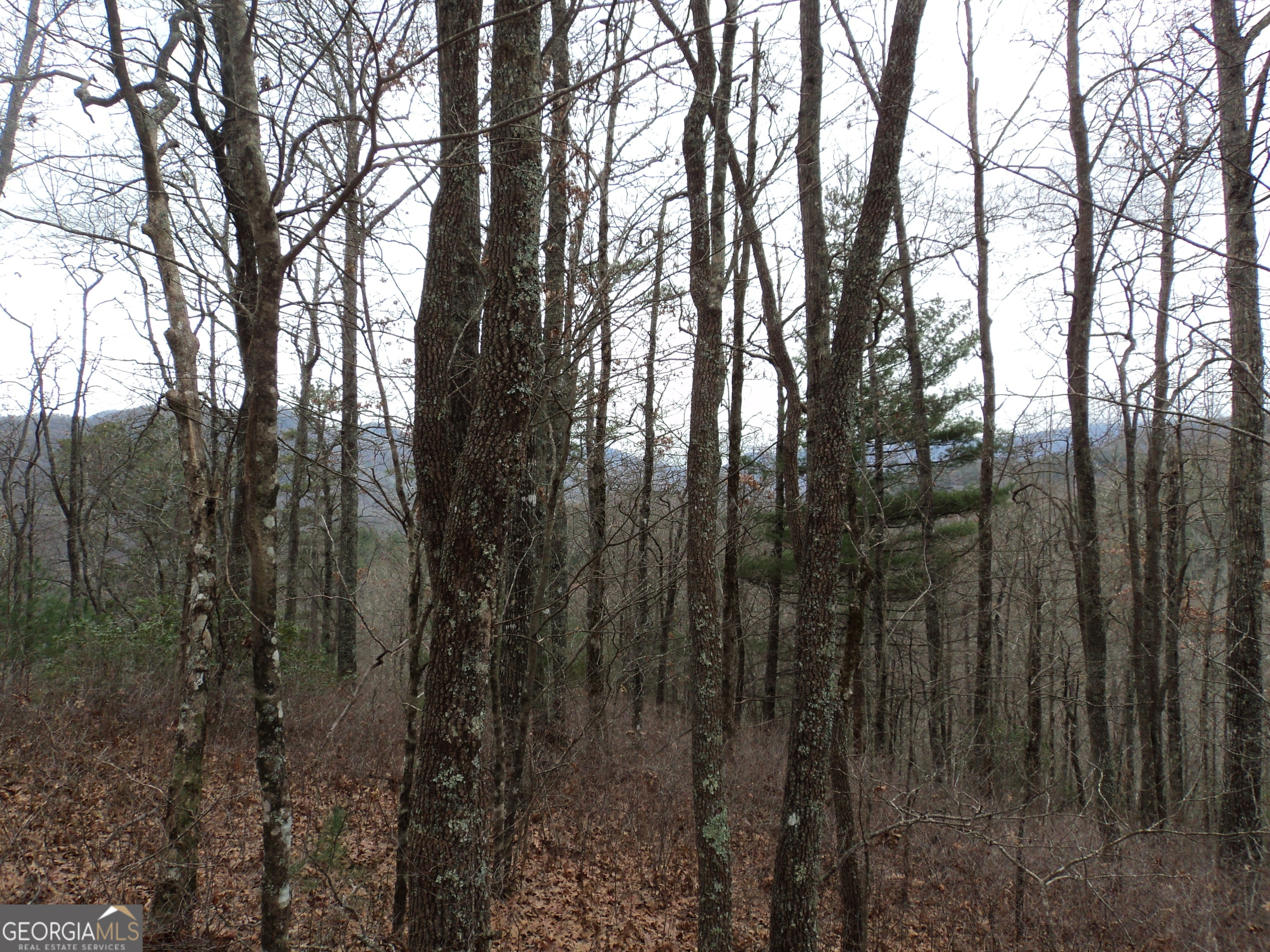Lot 18 Wynngate Drive Dillard GA 30537