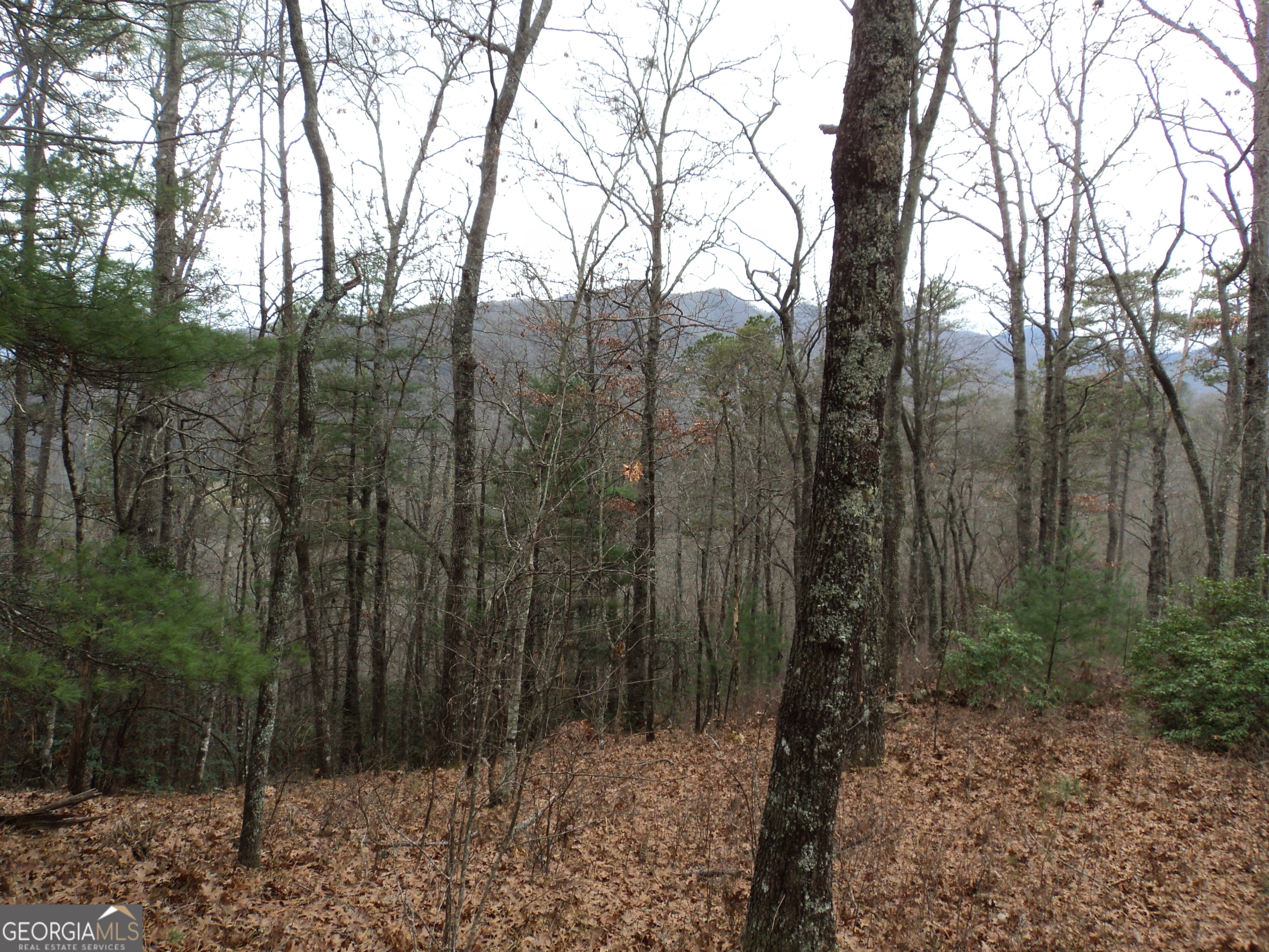 Lot 18 Wynngate Drive Dillard GA 30537