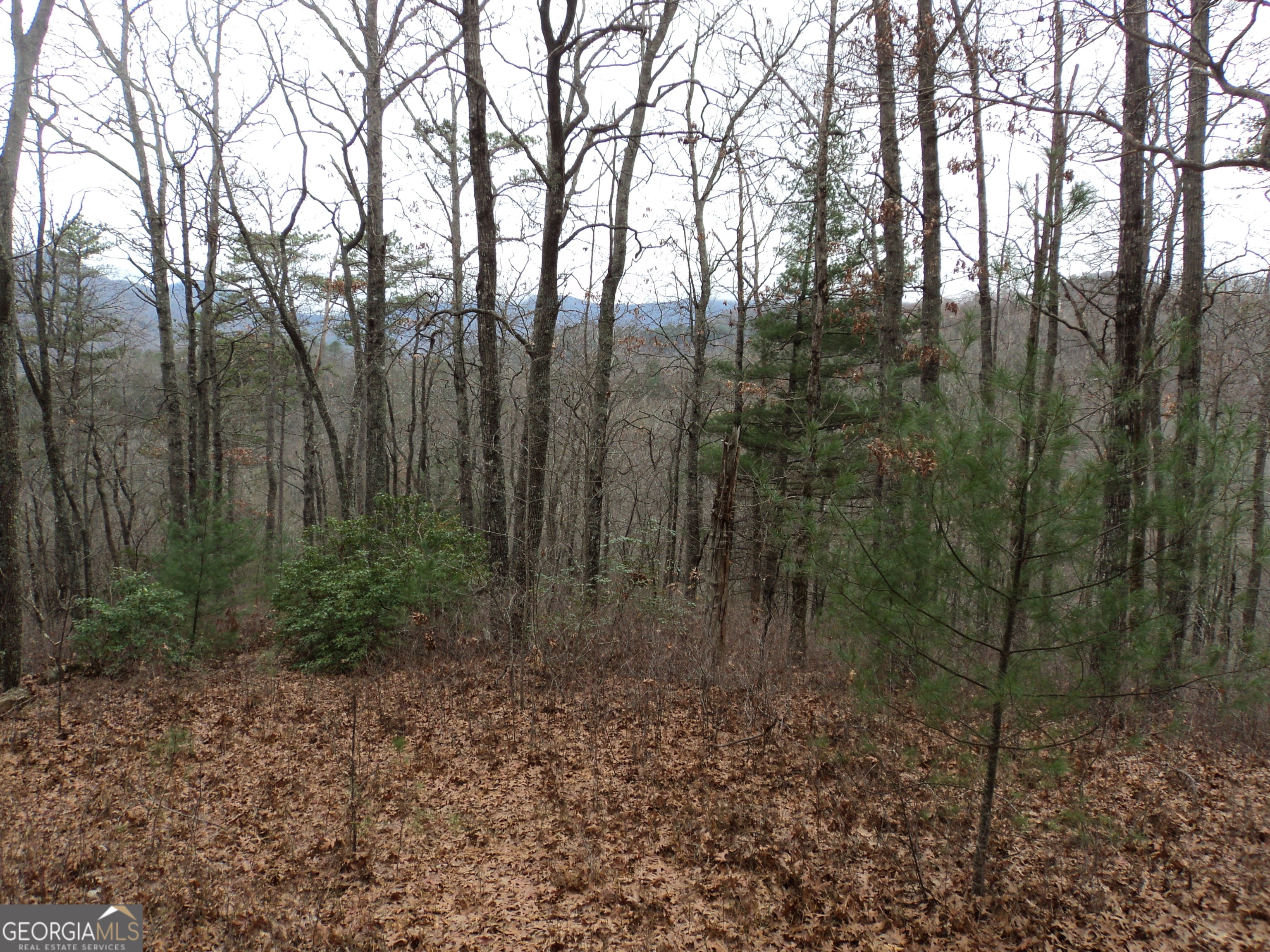 Lot 18 Wynngate Drive Dillard GA 30537