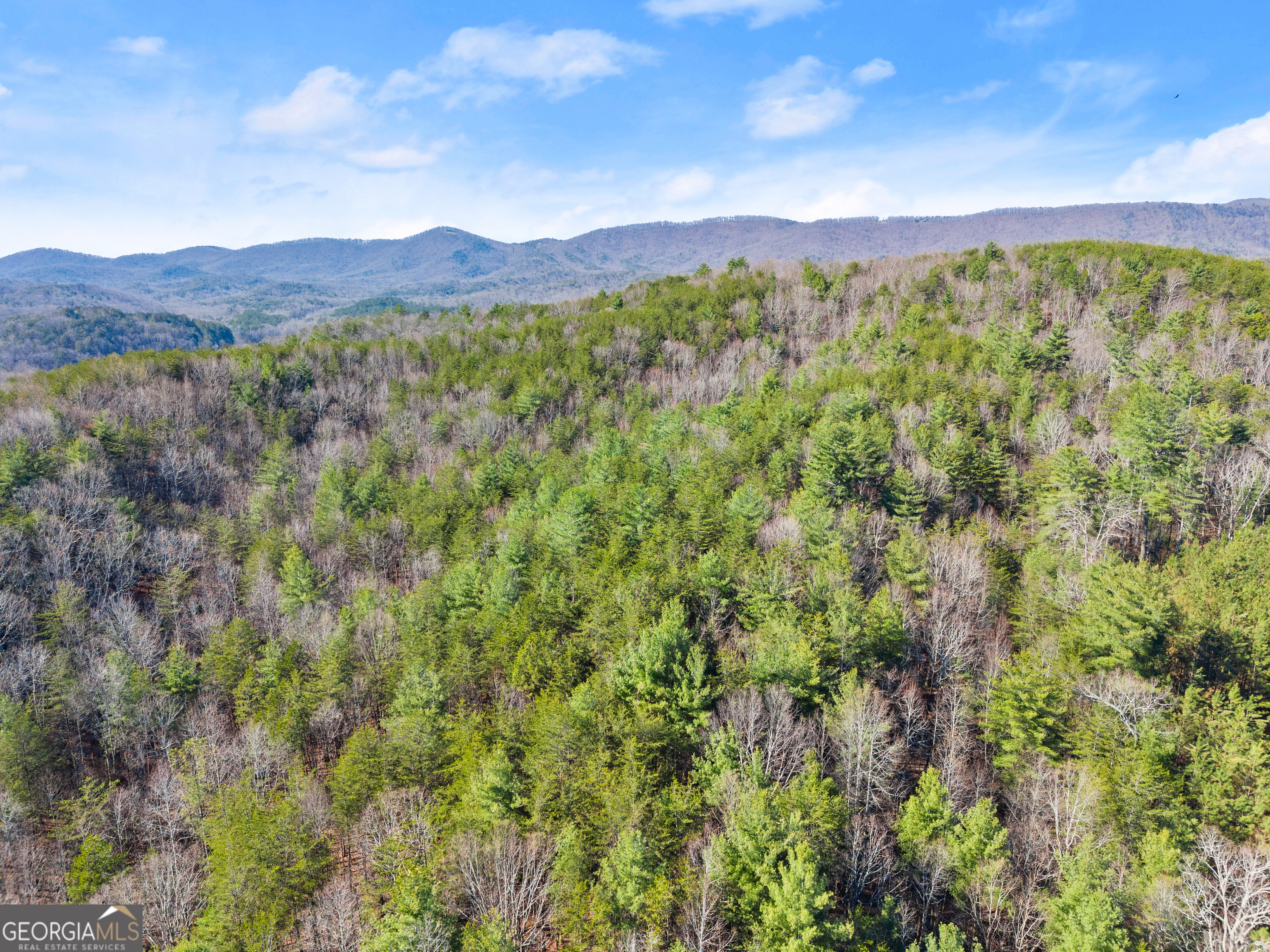 0 Elliott Family Parkway Dawsonville GA 30534