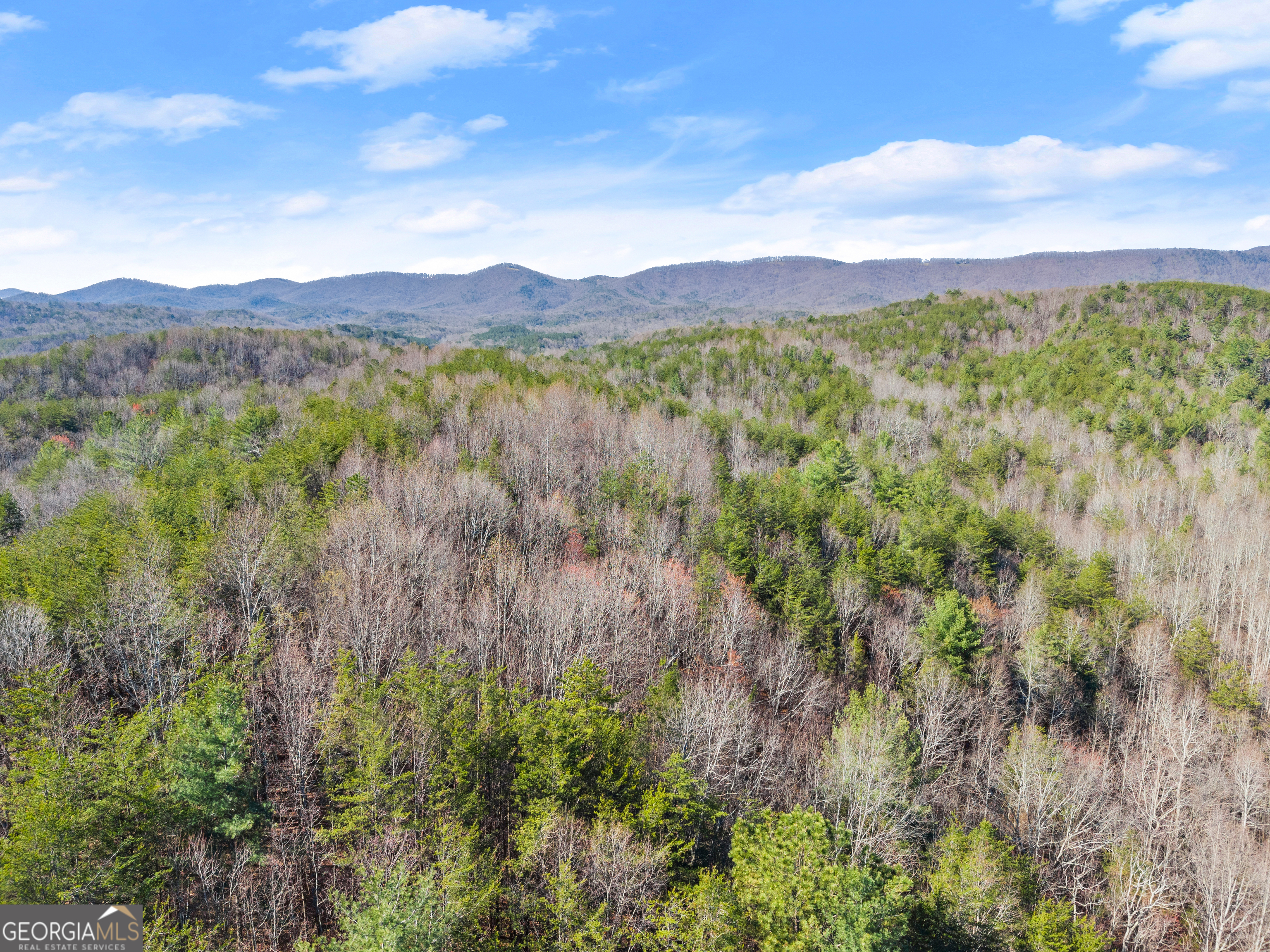 0 Elliott Family Parkway Dawsonville GA 30534