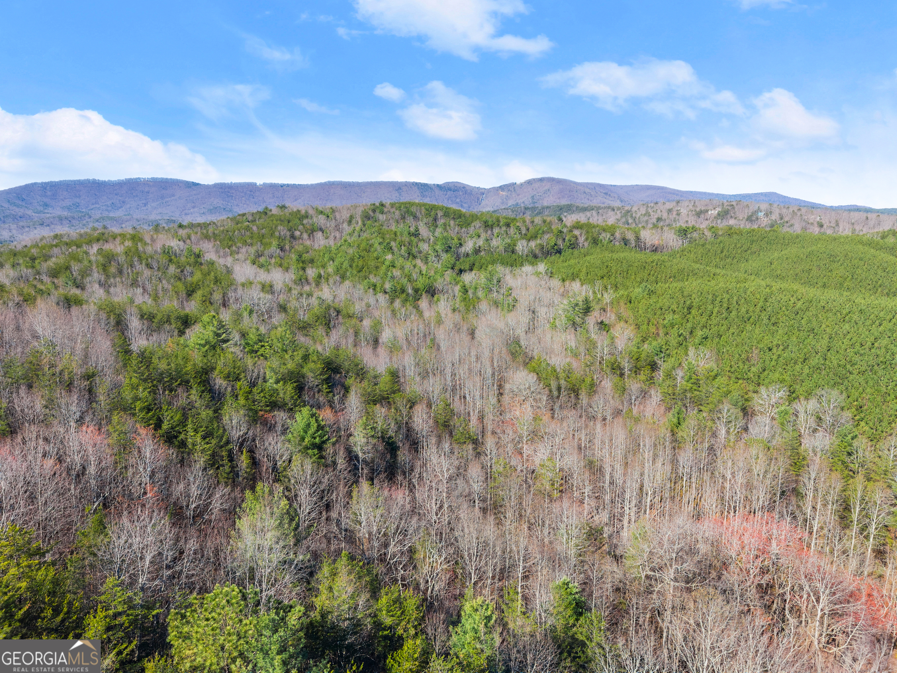 0 Elliott Family Parkway Dawsonville GA 30534