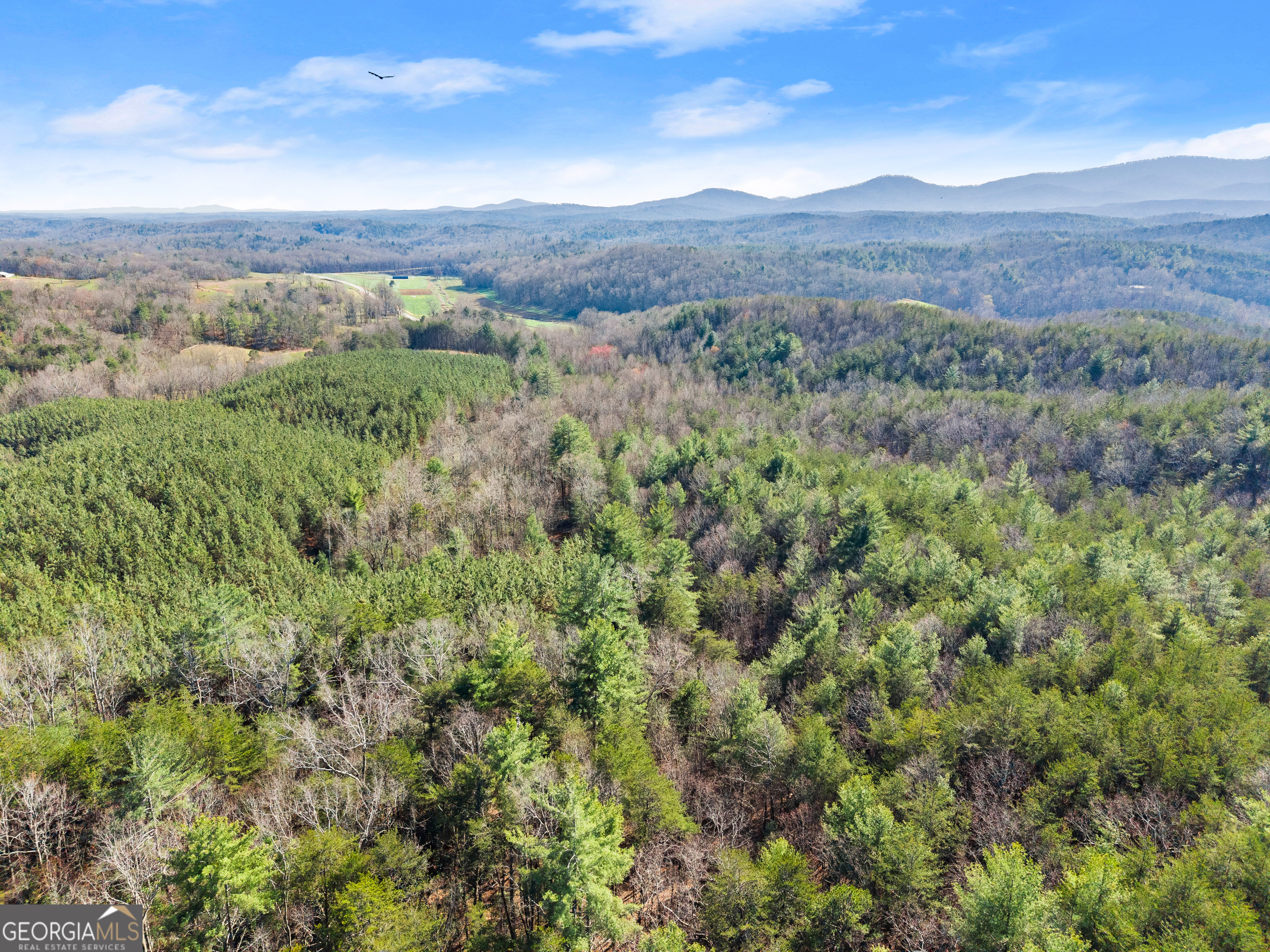 0 Elliott Family Parkway Dawsonville GA 30534
