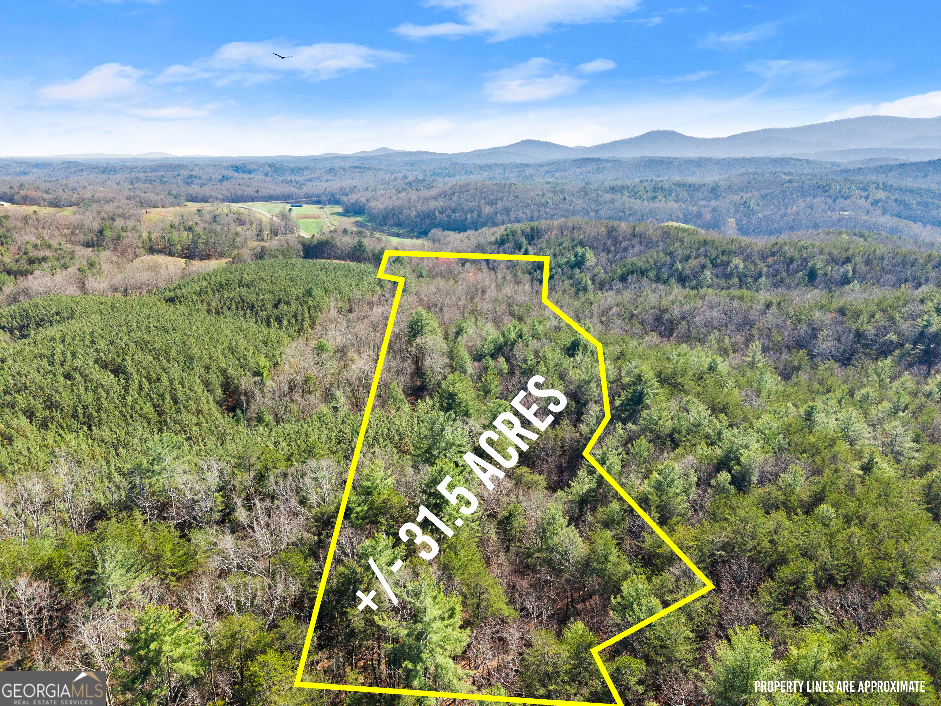 0 Elliott Family Parkway Dawsonville GA 30534