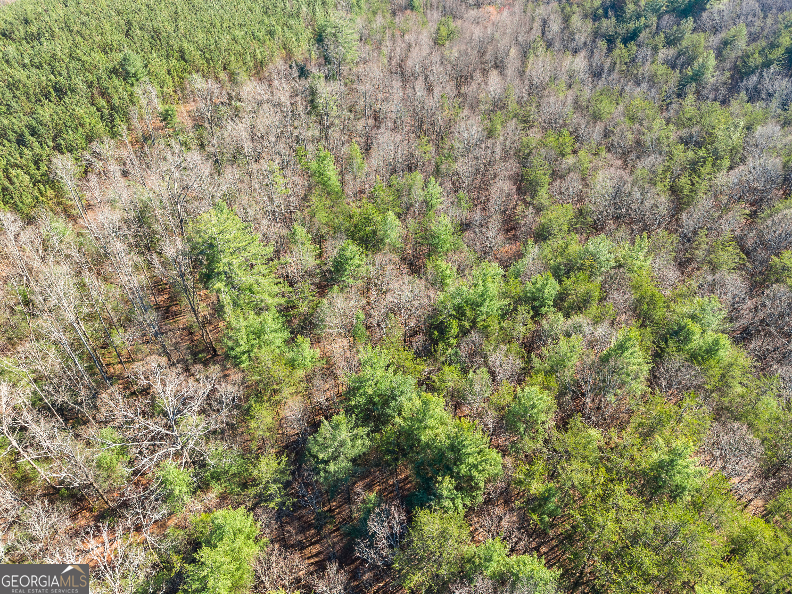 0 Elliott Family Parkway Dawsonville GA 30534