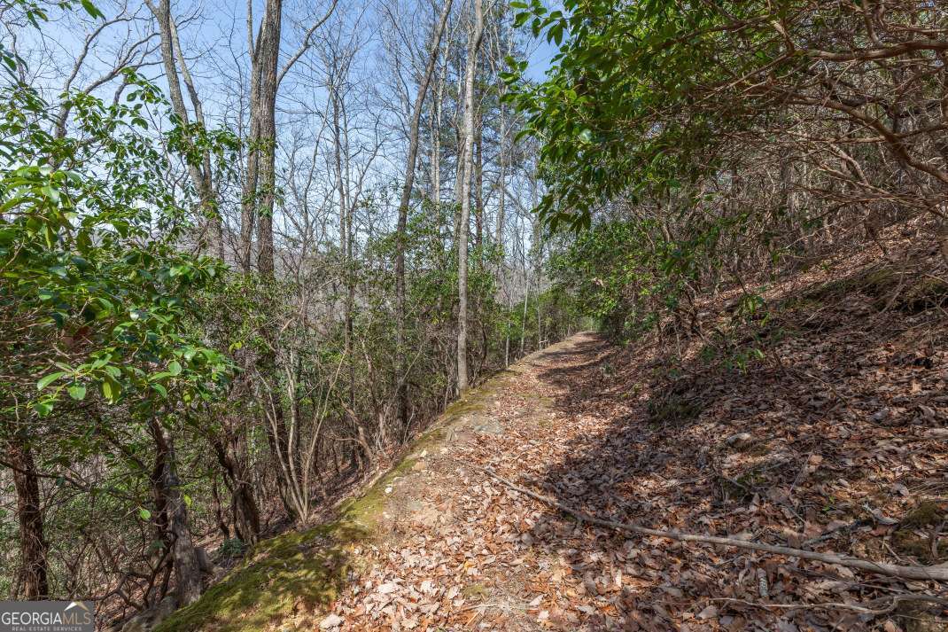 13.99 Ac Caesar Gap Road Hiawassee GA 30546