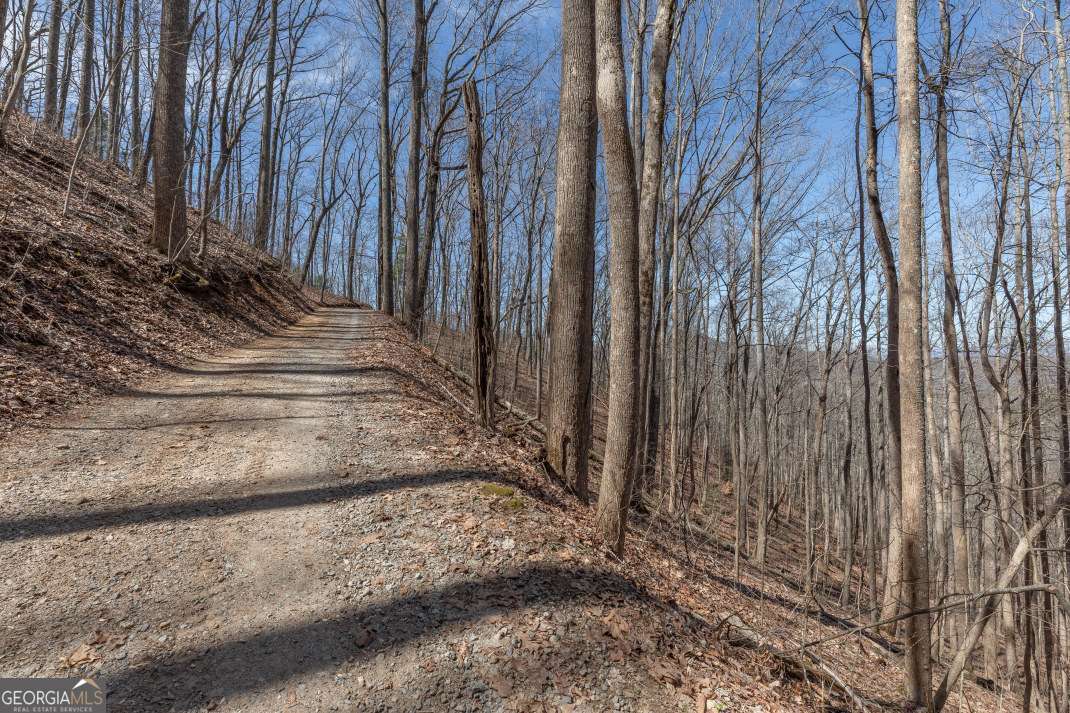 13.99 Ac Caesar Gap Road Hiawassee GA 30546