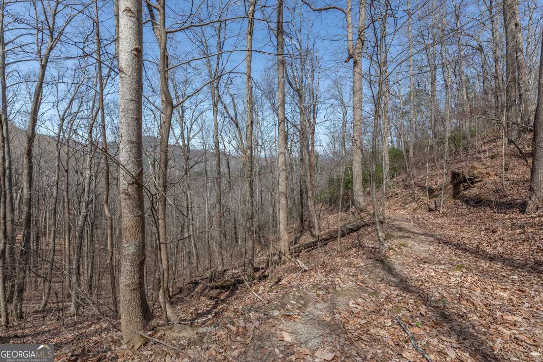 13.99 Ac Caesar Gap Road Hiawassee GA 30546