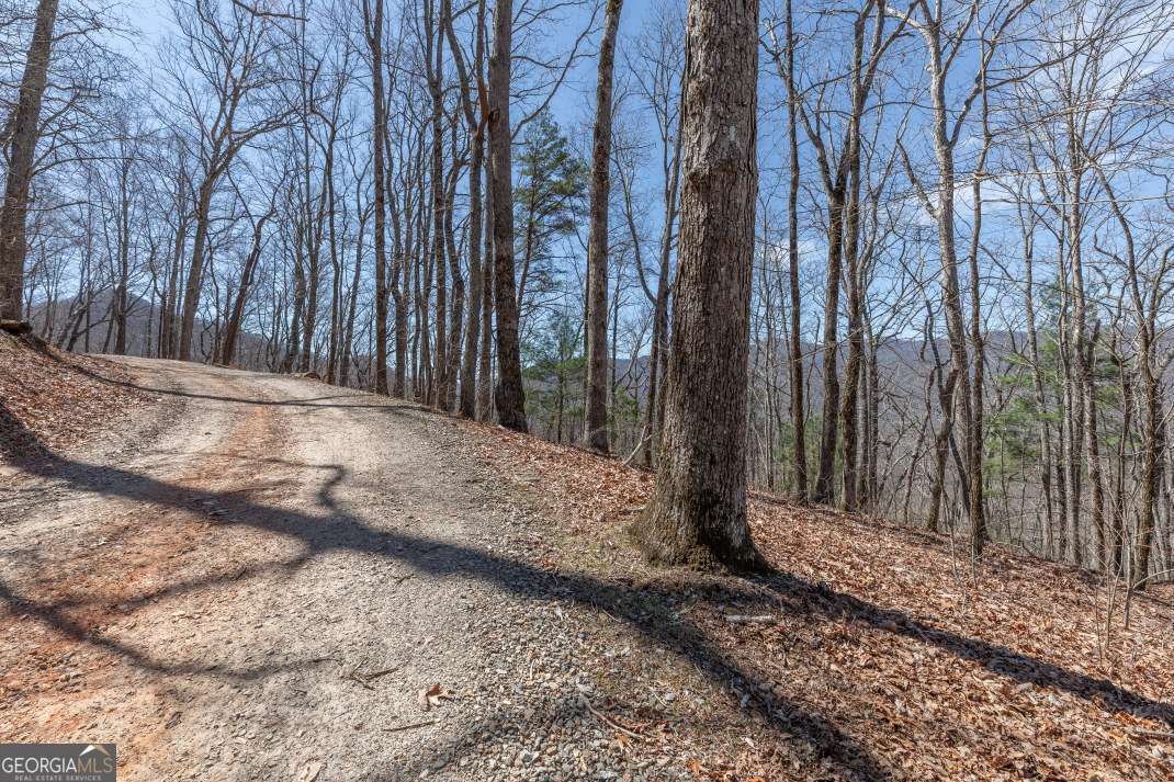 13.99 Ac Caesar Gap Road Hiawassee GA 30546