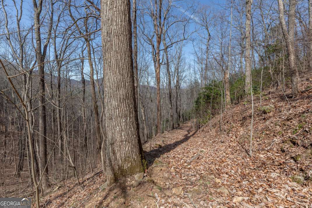 13.99 Ac Caesar Gap Road Hiawassee GA 30546