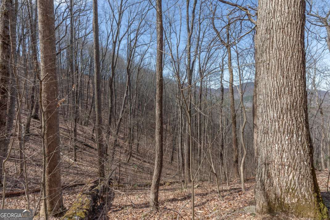 13.99 Ac Caesar Gap Road Hiawassee GA 30546