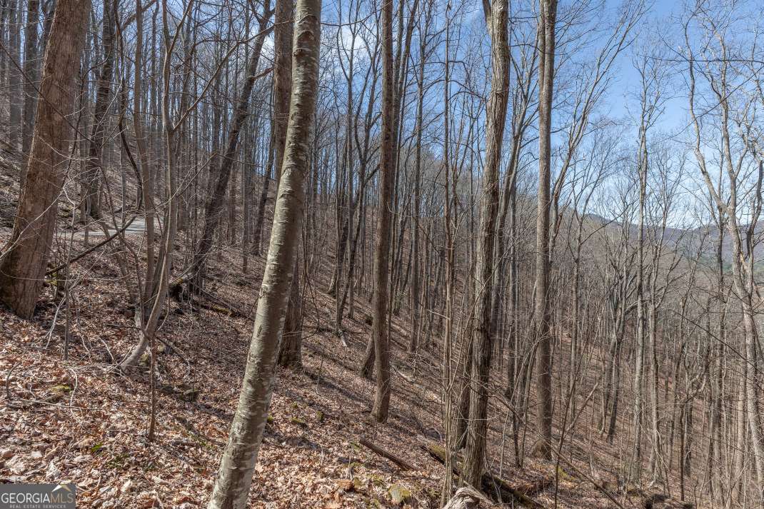 13.99 Ac Caesar Gap Road Hiawassee GA 30546