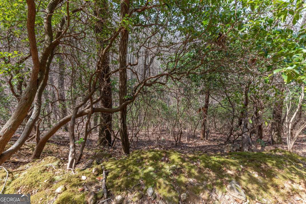 13.99 Ac Caesar Gap Road Hiawassee GA 30546
