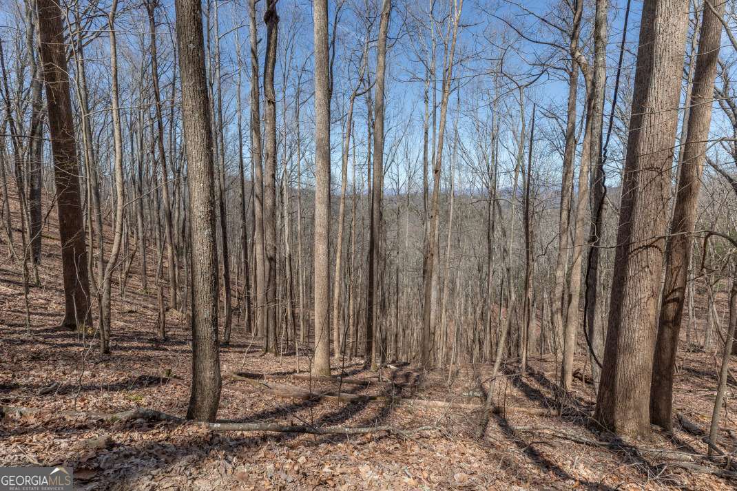 13.99 Ac Caesar Gap Road Hiawassee GA 30546