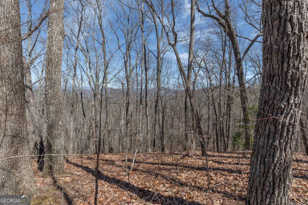 13.99 Ac Caesar Gap Road Hiawassee GA 30546