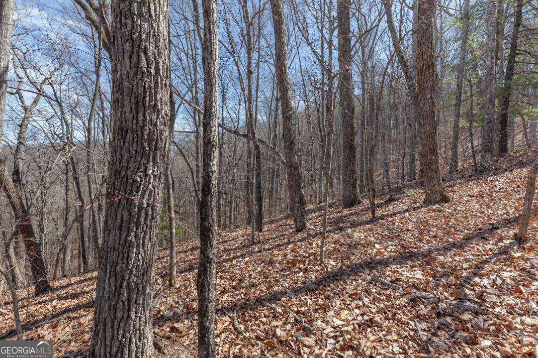 13.99 Ac Caesar Gap Road Hiawassee GA 30546
