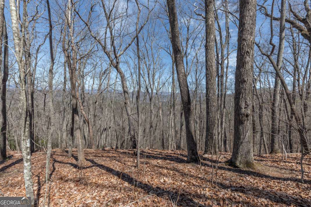 13.99 Ac Caesar Gap Road Hiawassee GA 30546
