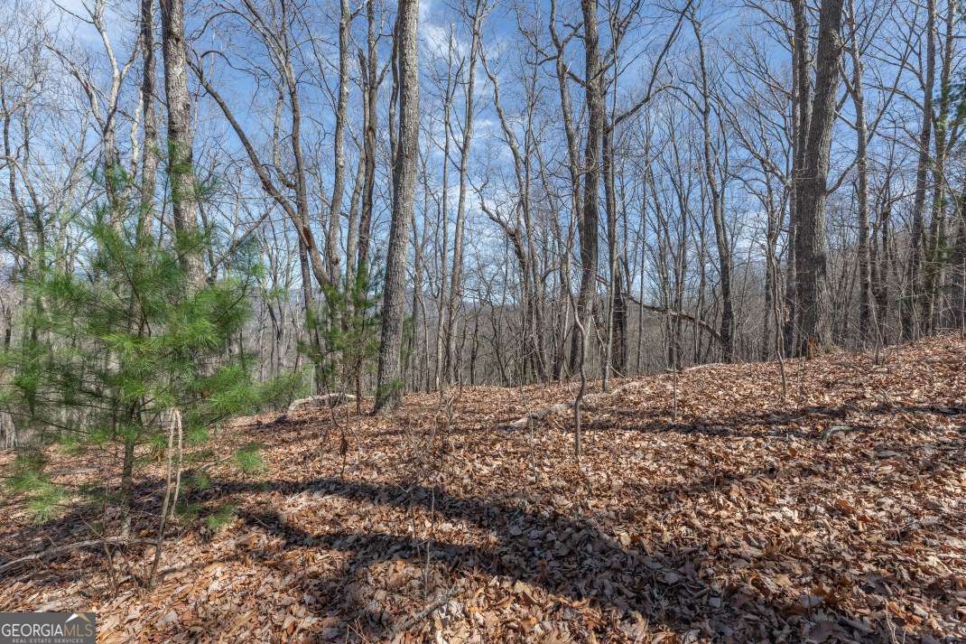 13.99 Ac Caesar Gap Road Hiawassee GA 30546