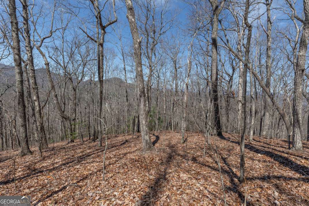 13.99 Ac Caesar Gap Road Hiawassee GA 30546