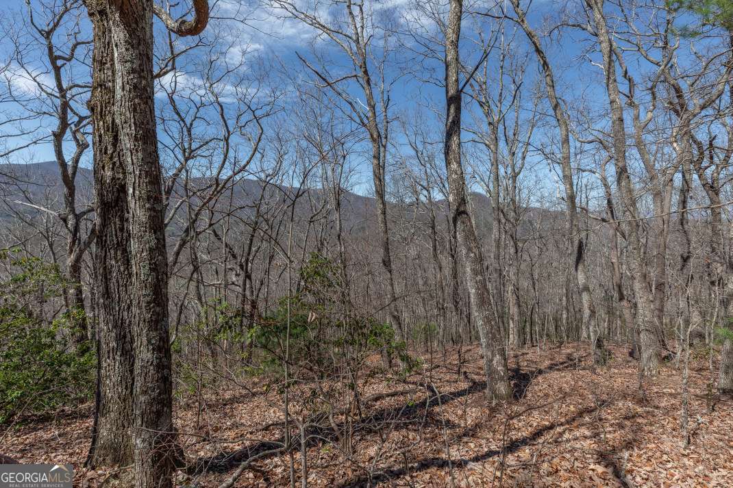 13.99 Ac Caesar Gap Road Hiawassee GA 30546