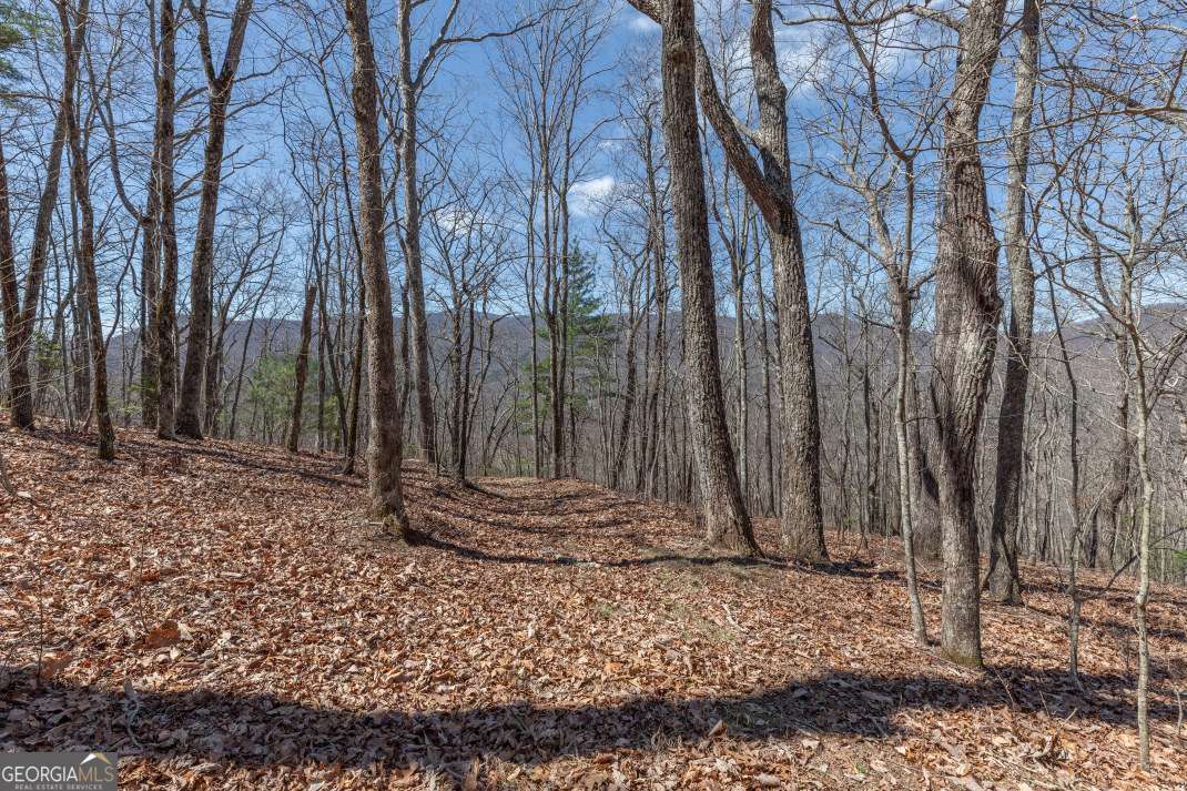 13.99 Ac Caesar Gap Road Hiawassee GA 30546