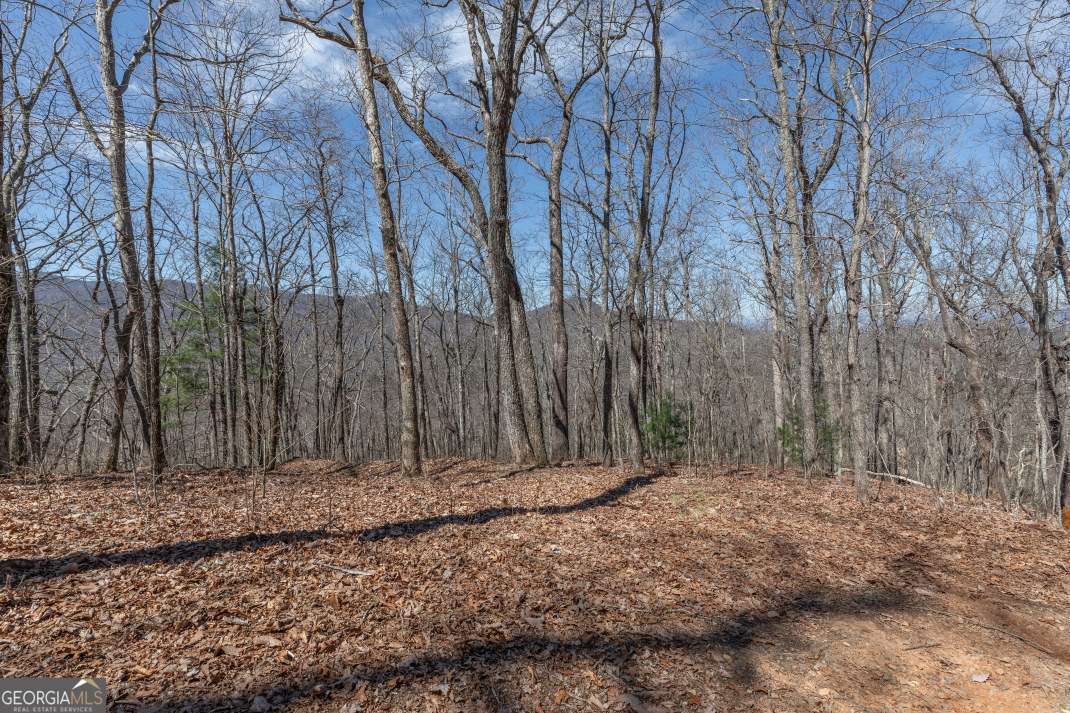 13.99 Ac Caesar Gap Road Hiawassee GA 30546