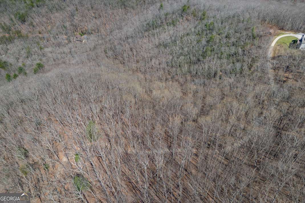13.99 Ac Caesar Gap Road Hiawassee GA 30546