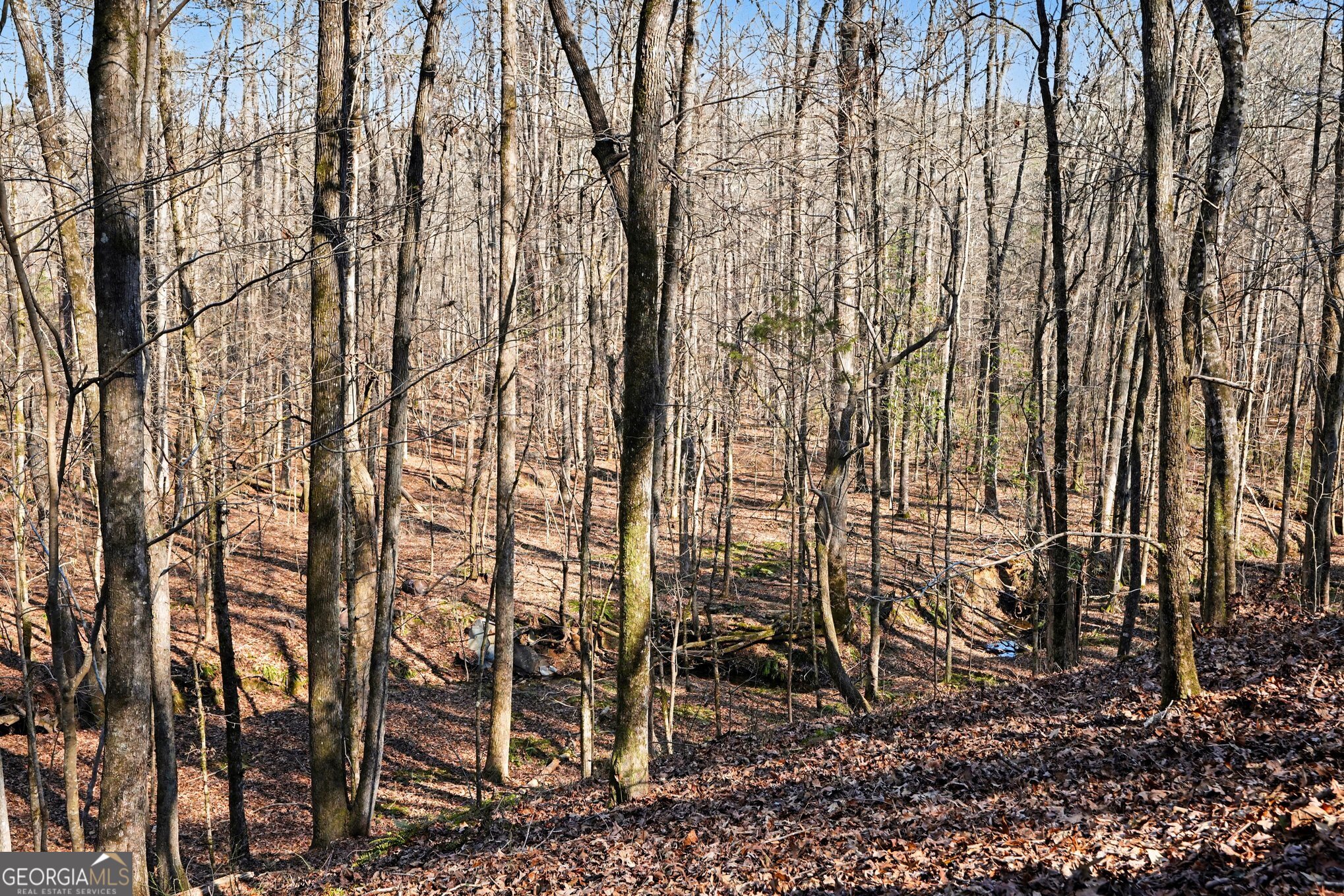0 Vineyard Road Thomaston GA 30286