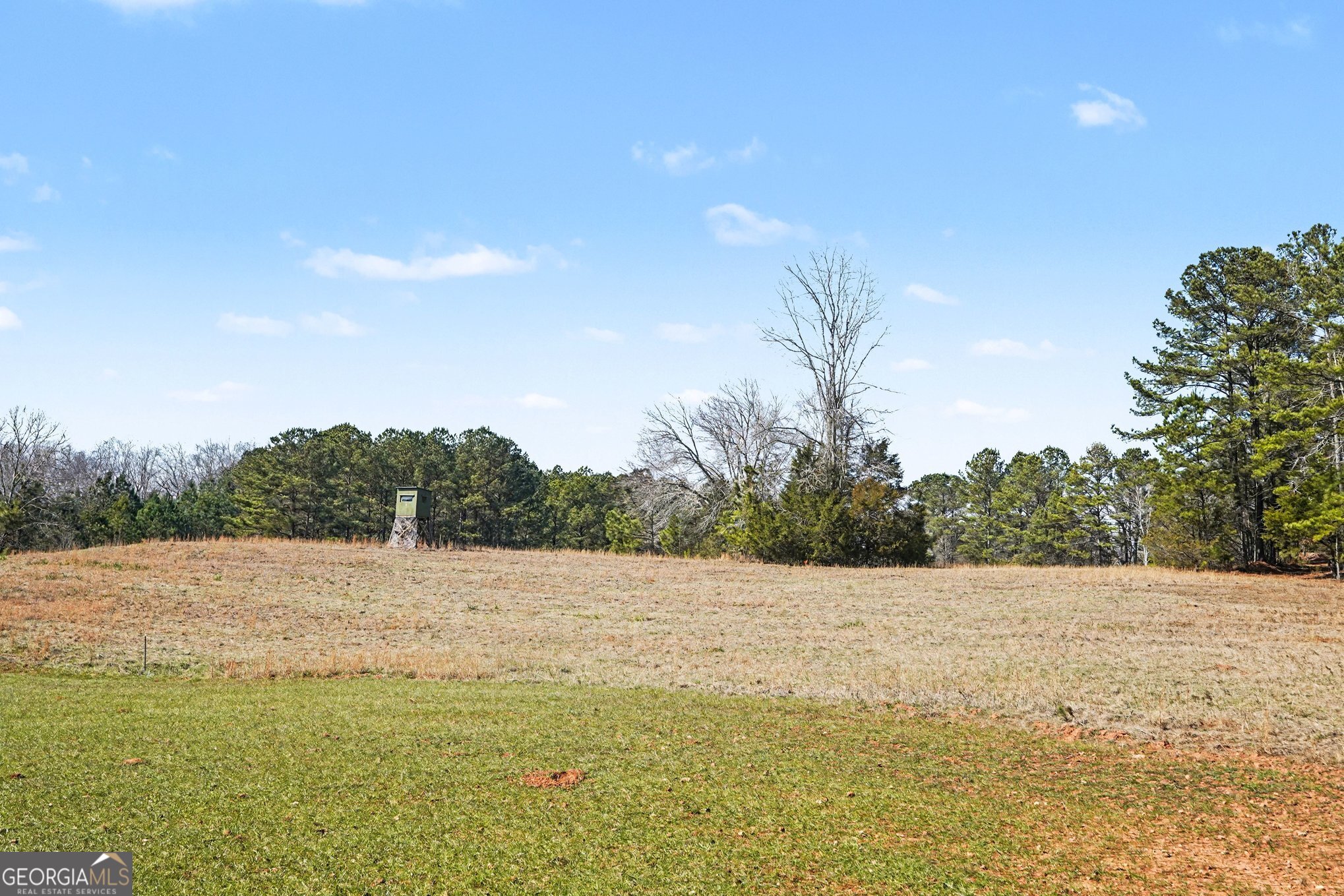0 Vineyard Road Thomaston GA 30286