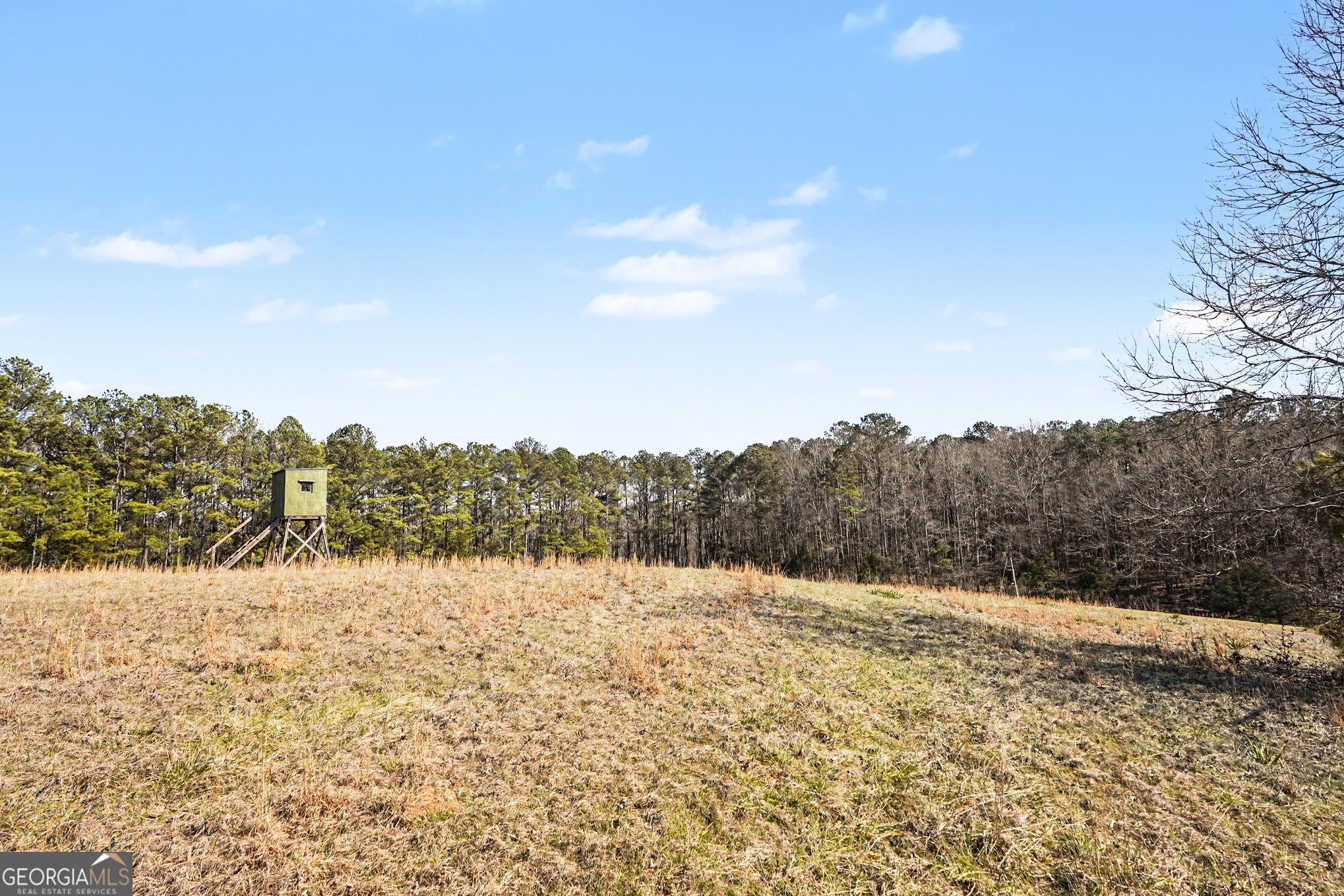 0 Vineyard Road Thomaston GA 30286
