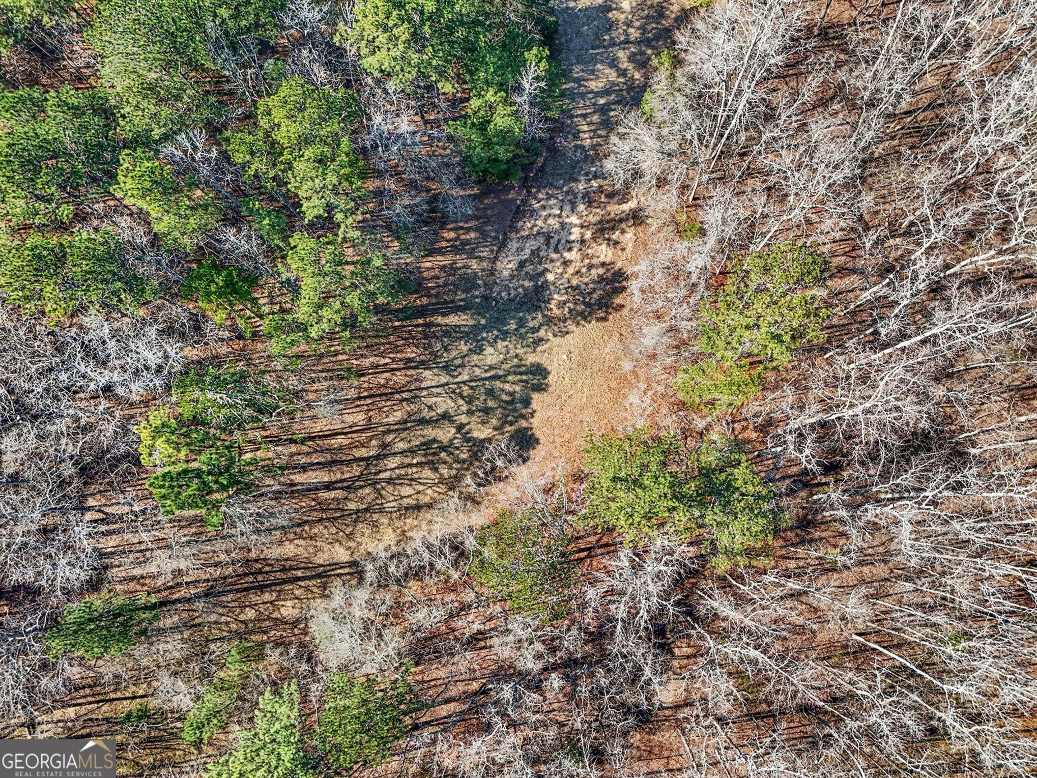 0 Vineyard Road Thomaston GA 30286