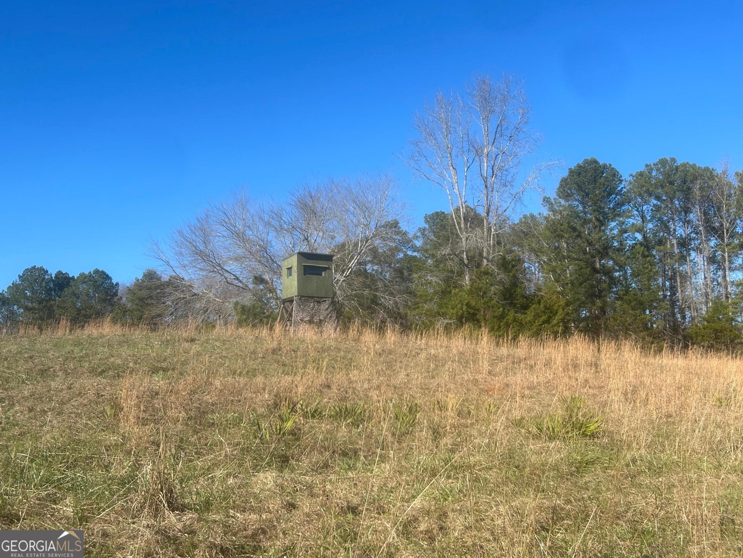 0 Vineyard Road Thomaston GA 30286