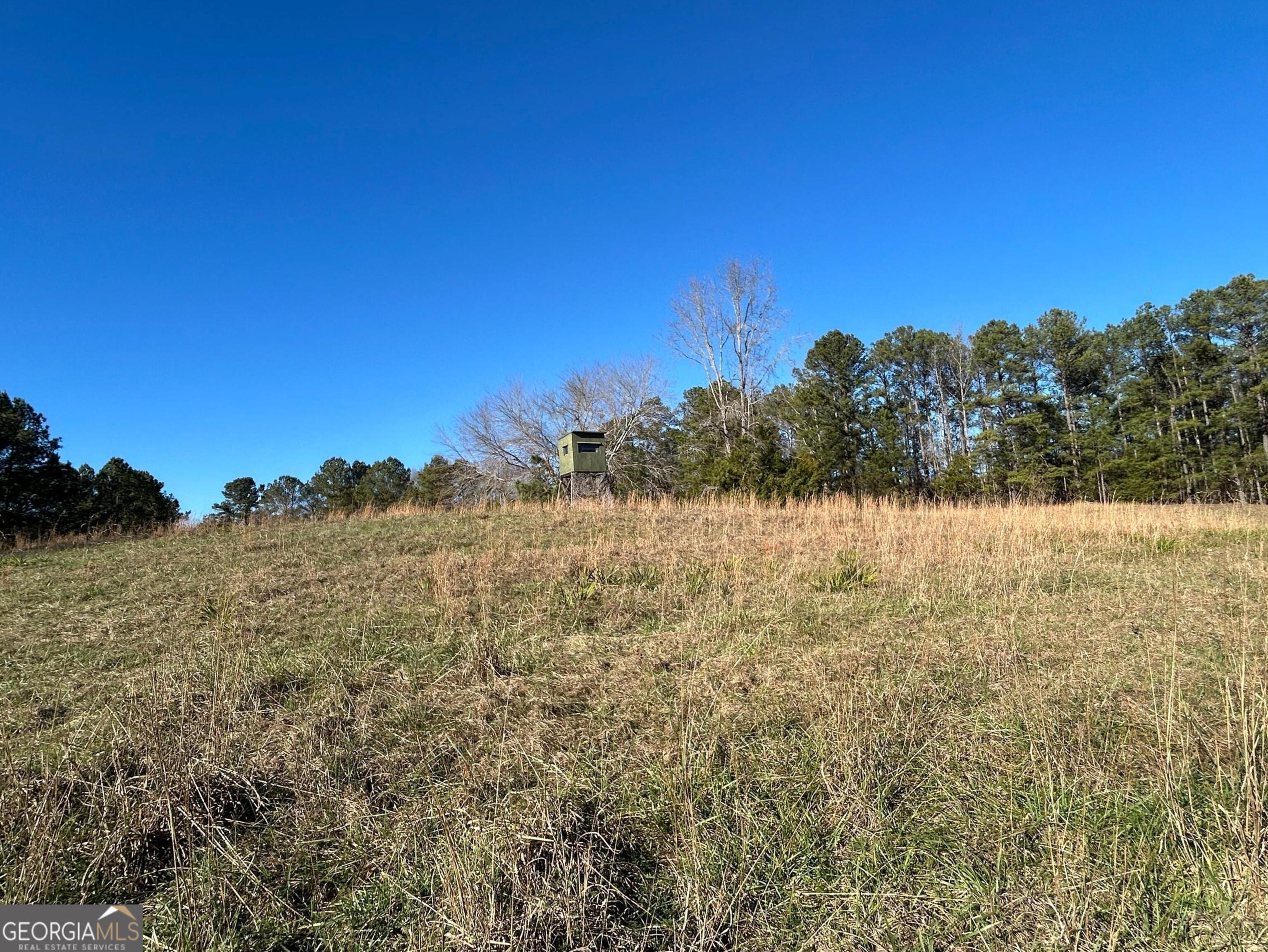 0 Vineyard Road Thomaston GA 30286