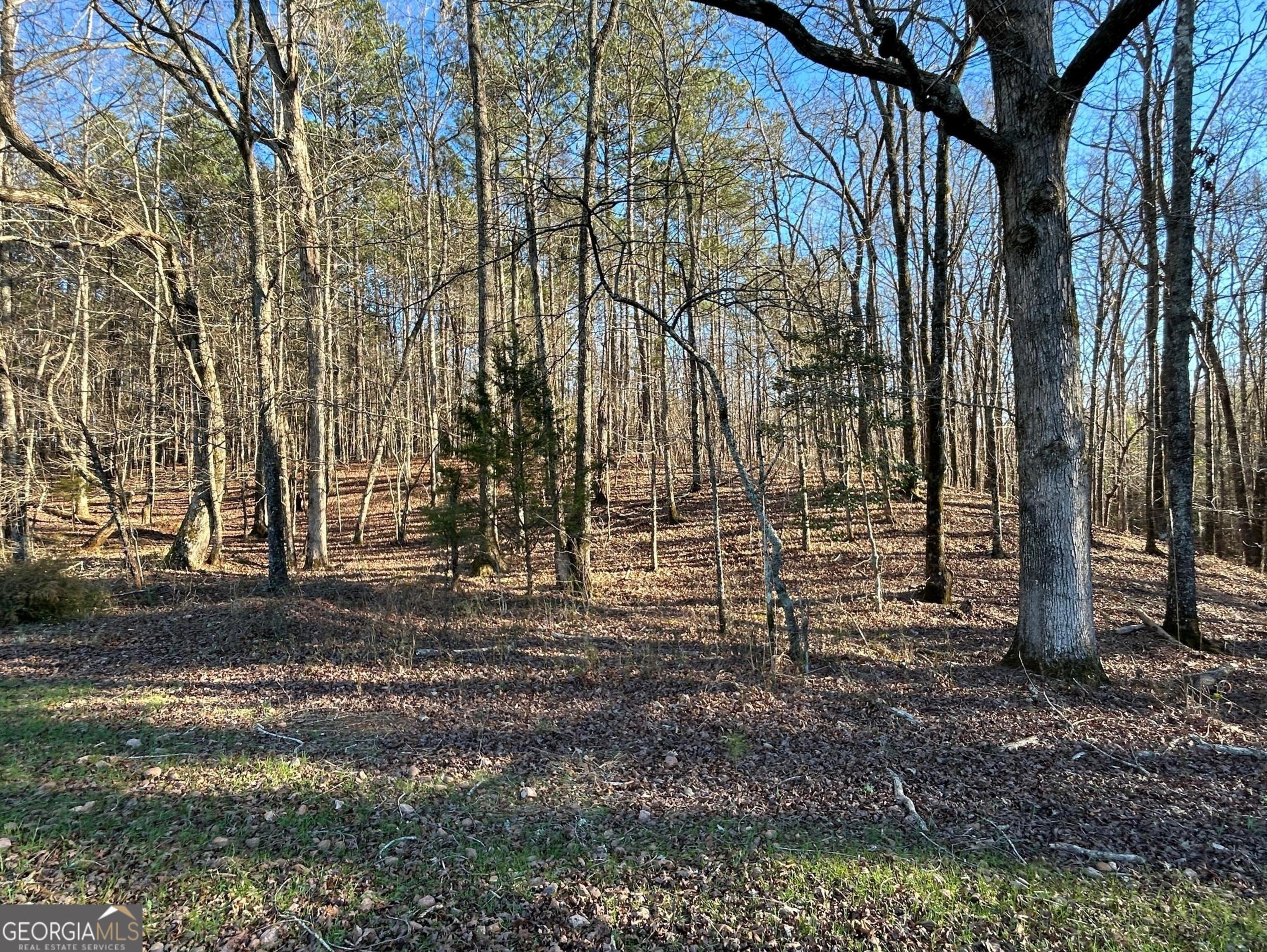 0 Vineyard Road Thomaston GA 30286