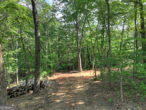 0 Sugar Creek Road Blue Ridge GA 30513