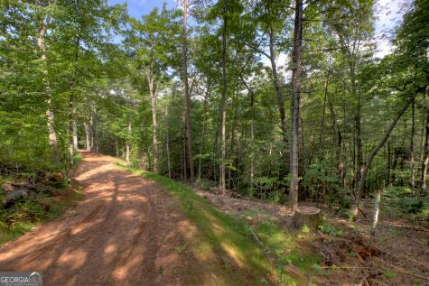 0 Sugar Creek Road Blue Ridge GA 30513